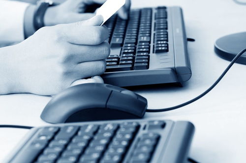 計(jì)算機(jī)專業(yè)在校大學(xué)生如何通過(guò)計(jì)算機(jī)系統(tǒng)服務(wù)提升競(jìng)爭(zhēng)力